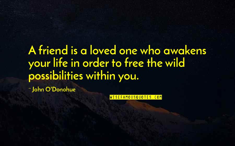 This Wild Life Quotes By John O'Donohue: A friend is a loved one who awakens