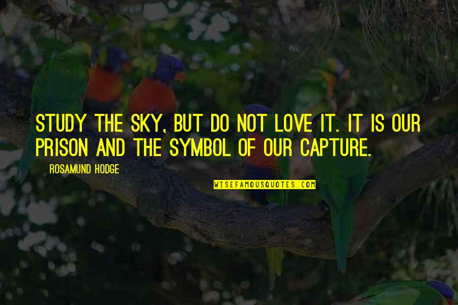 This Year Has Been Tough Quotes By Rosamund Hodge: Study the sky, but do not love it.