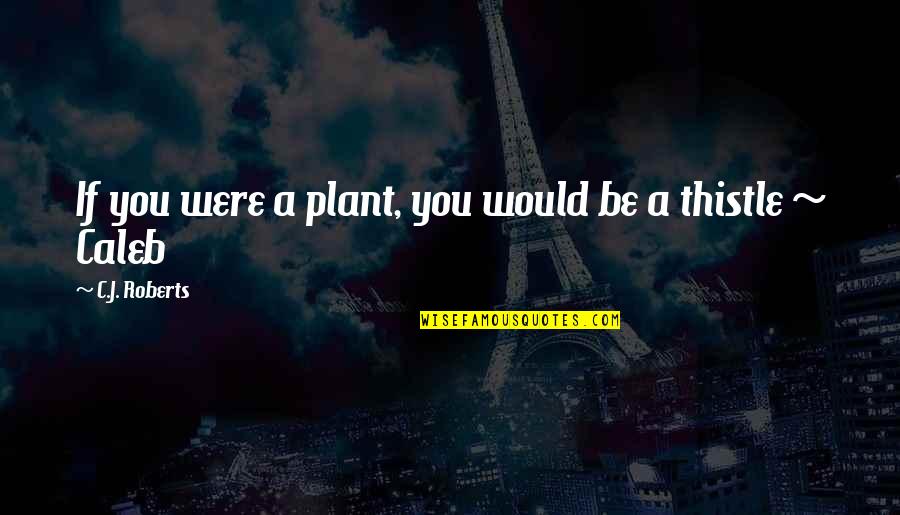 Thistle Quotes By C.J. Roberts: If you were a plant, you would be Thistle Quotes By C.J. Roberts: If you were a plant, you would be