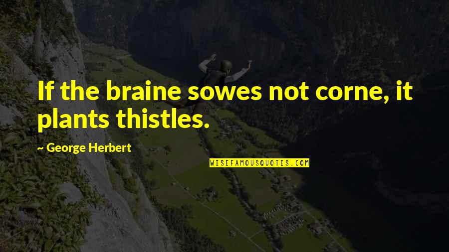 Thistles Quotes By George Herbert: If the braine sowes not corne, it plants