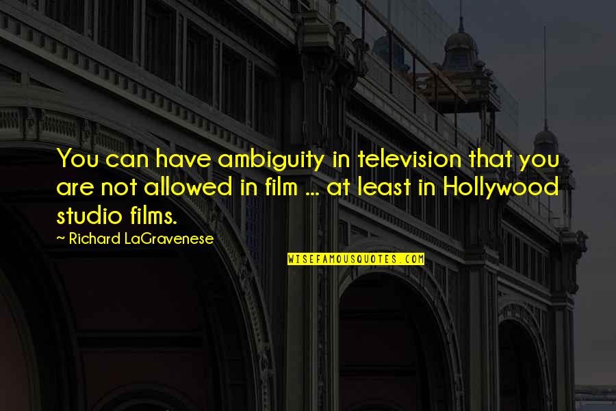 Thistleton Terrace Quotes By Richard LaGravenese: You can have ambiguity in television that you