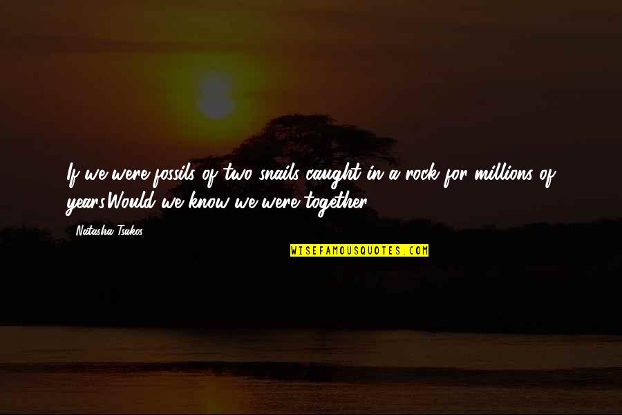 Tholuck Commentary Quotes By Natasha Tsakos: If we were fossils of two snails caught Tholuck Commentary Quotes By Natasha Tsakos: If we were fossils of two snails caught