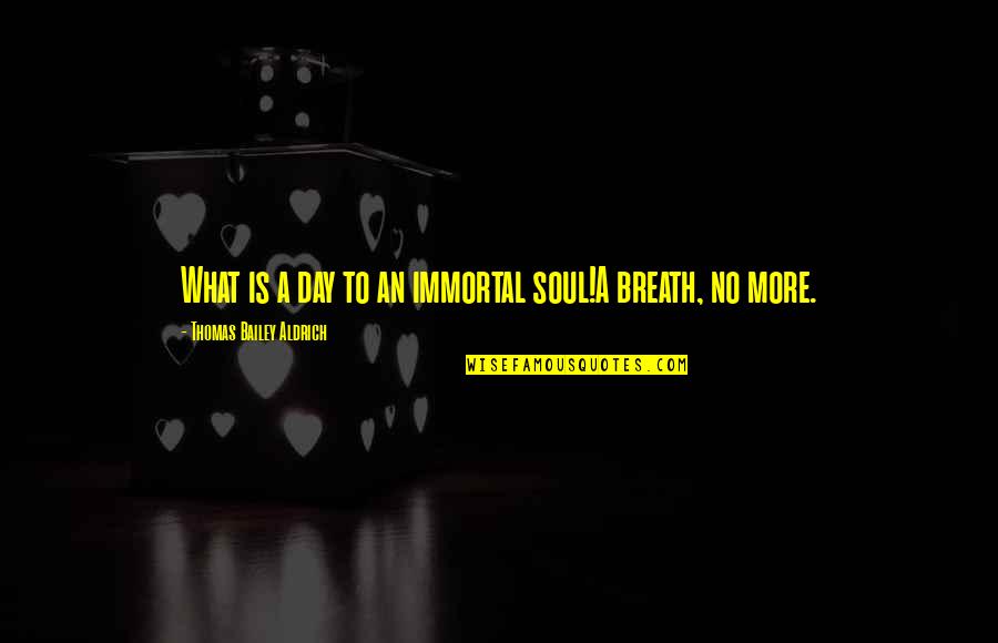 Thomas Aldrich Quotes By Thomas Bailey Aldrich: What is a day to an immortal soul!A