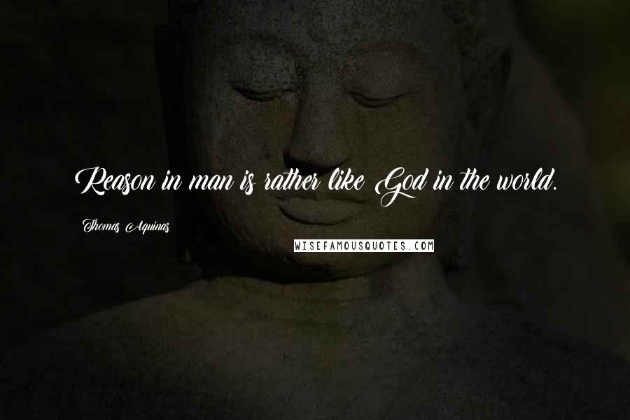 Thomas Aquinas quotes: Reason in man is rather like God in the world.