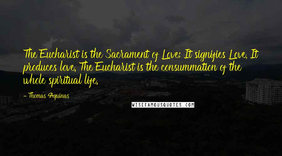 Thomas Aquinas quotes: The Eucharist is the Sacrament of Love; It signifies Love, It produces love. The Eucharist is the consummation of the whole spiritual life.