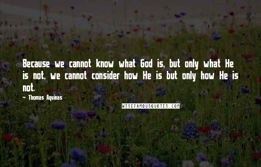 Thomas Aquinas quotes: Because we cannot know what God is, but only what He is not, we cannot consider how He is but only how He is not.