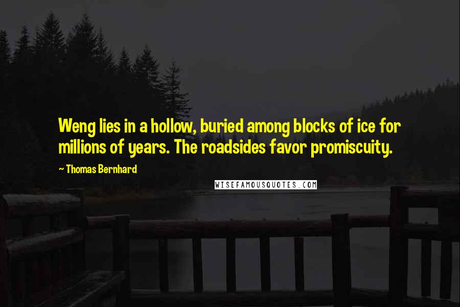 Thomas Bernhard quotes: Weng lies in a hollow, buried among blocks of ice for millions of years. The roadsides favor promiscuity. Thomas Bernhard quotes: Weng lies in a hollow, buried among blocks of ice for millions of years. The roadsides favor promiscuity.