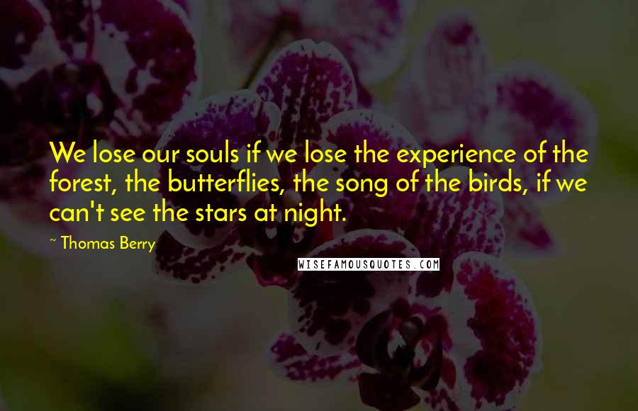 Thomas Berry quotes: We lose our souls if we lose the experience of the forest, the butterflies, the song of the birds, if we can't see the stars at night.