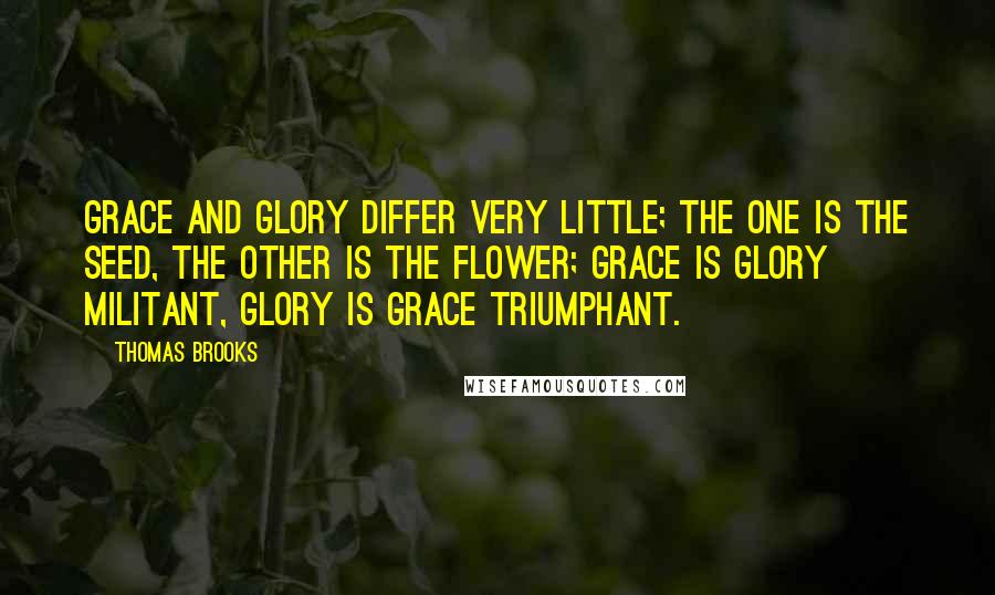 Thomas Brooks quotes: Grace and glory differ very little; the one is the seed, the other is the flower; grace is glory militant, glory is grace triumphant.