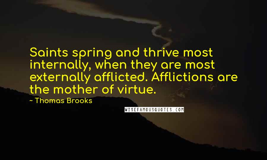 Thomas Brooks quotes: Saints spring and thrive most internally, when they are most externally afflicted. Afflictions are the mother of virtue.