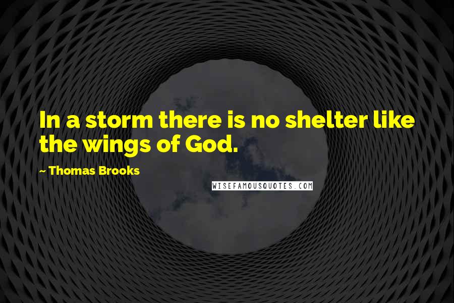 Thomas Brooks quotes: In a storm there is no shelter like the wings of God.