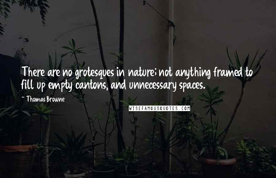 Thomas Browne quotes: There are no grotesques in nature; not anything framed to fill up empty cantons, and unnecessary spaces. Thomas Browne quotes: There are no grotesques in nature; not anything framed to fill up empty cantons, and unnecessary spaces.