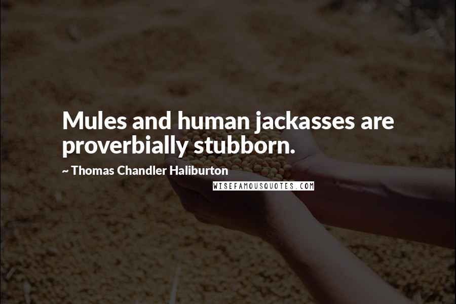 Thomas Chandler Haliburton quotes: Mules and human jackasses are proverbially stubborn. Thomas Chandler Haliburton quotes: Mules and human jackasses are proverbially stubborn.