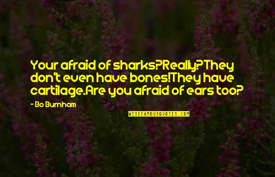Thomas Clarke Quotes By Bo Burnham: Your afraid of sharks?Really?They don't even have bones!They Thomas Clarke Quotes By Bo Burnham: Your afraid of sharks?Really?They don't even have bones!They