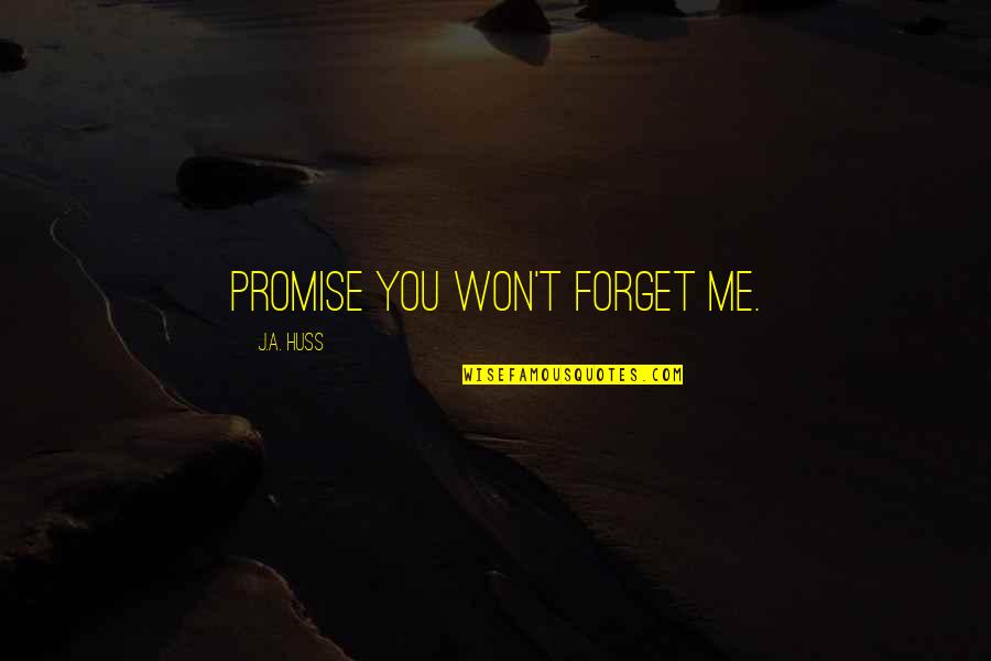 Thomas Fuchs Quotes By J.A. Huss: Promise you won't forget me.
