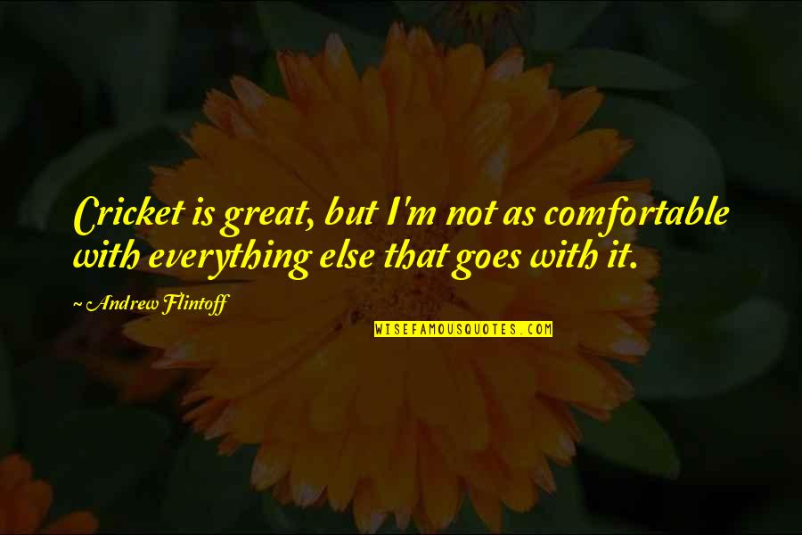 Thomas Hobbes Absolutism Quotes By Andrew Flintoff: Cricket is great, but I'm not as comfortable