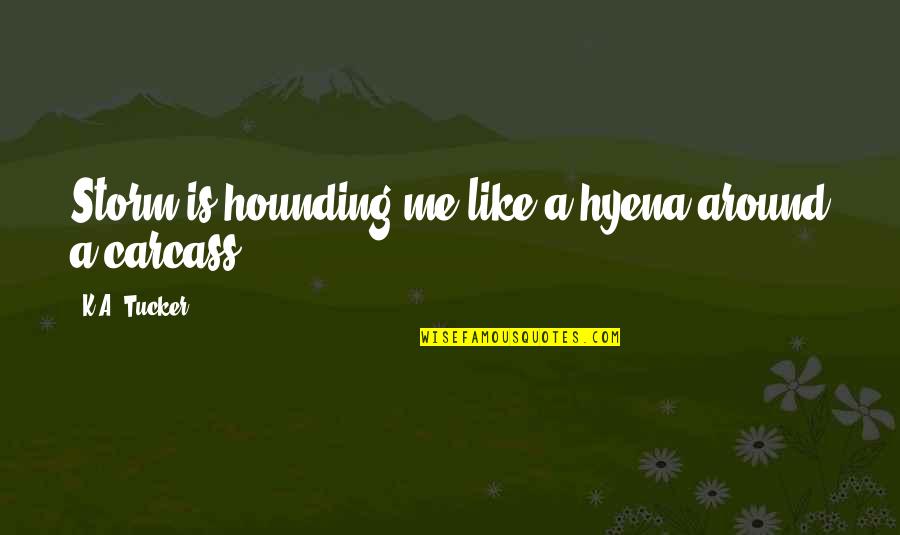 Thomas Howard Earl Of Effingham Quotes By K.A. Tucker: Storm is hounding me like a hyena around