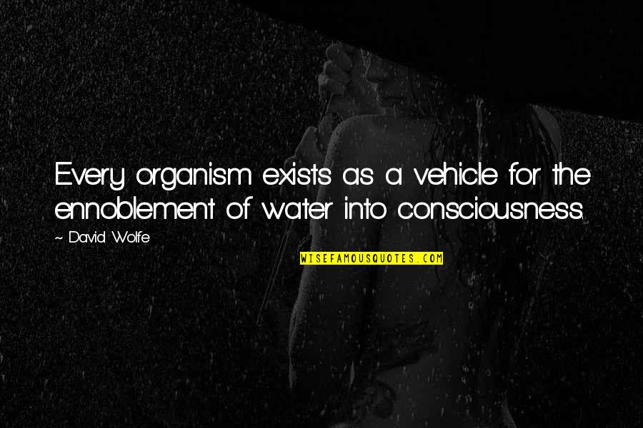 Thomas Jefferson Pursuit Of Happiness Quote Quotes By David Wolfe: Every organism exists as a vehicle for the