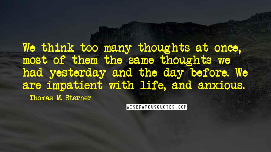 Thomas M. Sterner quotes: We think too many thoughts at once, most of them the same thoughts we had yesterday and the day before. We are impatient with life, and anxious.