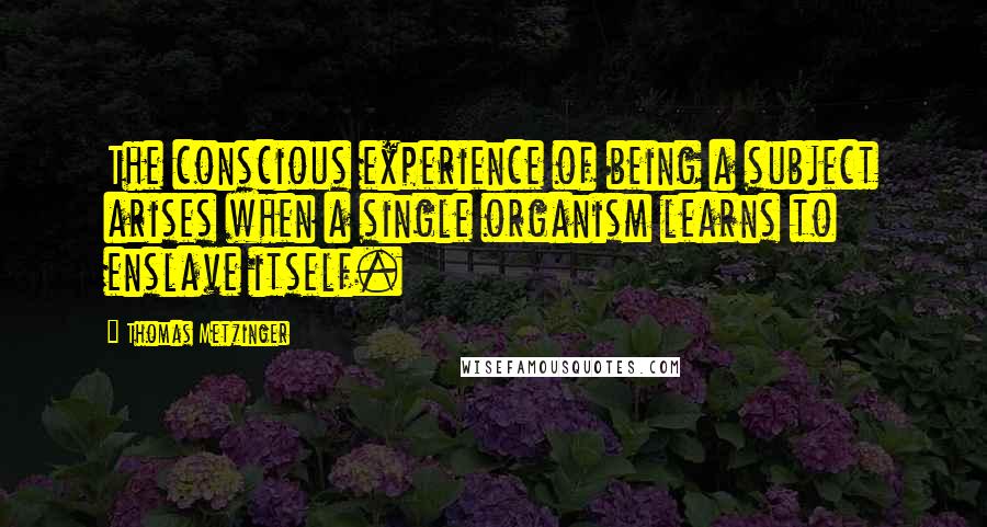 Thomas Metzinger quotes: The conscious experience of being a subject arises when a single organism learns to enslave itself.