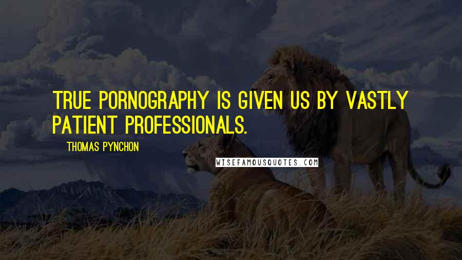 Thomas Pynchon quotes: True pornography is given us by vastly patient professionals.