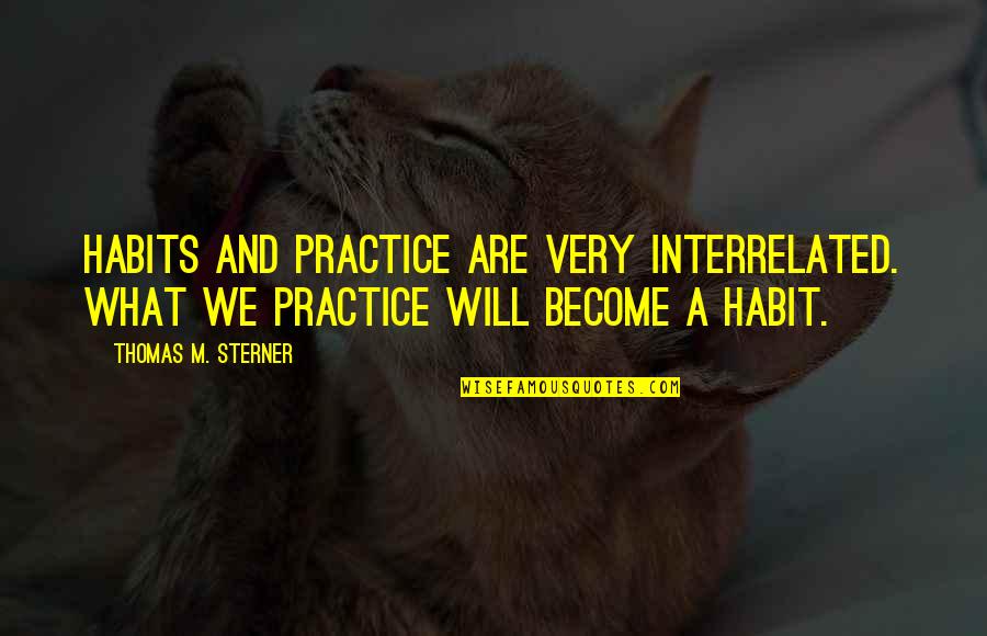 Thomas Sterner Quotes By Thomas M. Sterner: Habits and practice are very interrelated. What we