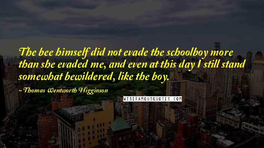 Thomas Wentworth Higginson quotes: The bee himself did not evade the schoolboy more than she evaded me, and even at this day I still stand somewhat bewildered, like the boy. Thomas Wentworth Higginson quotes: The bee himself did not evade the schoolboy more than she evaded me, and even at this day I still stand somewhat bewildered, like the boy.