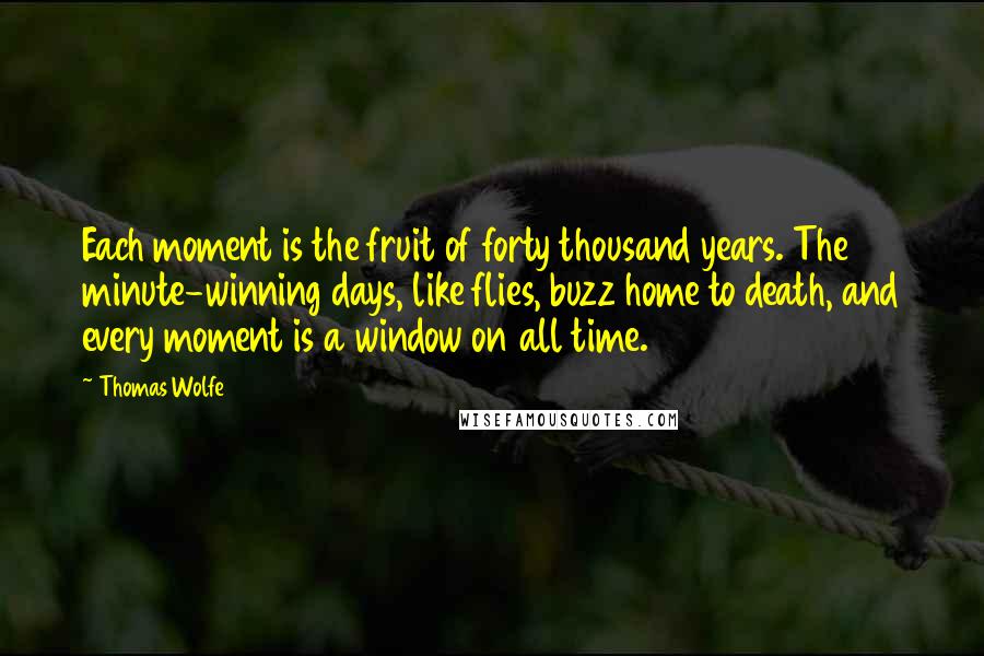 Thomas Wolfe quotes: Each moment is the fruit of forty thousand years. The minute-winning days, like flies, buzz home to death, and every moment is a window on all time.