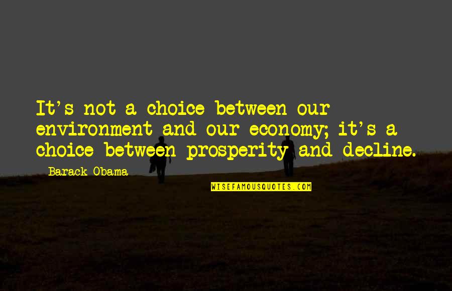 Thomopoulos Kalamata Quotes By Barack Obama: It's not a choice between our environment and