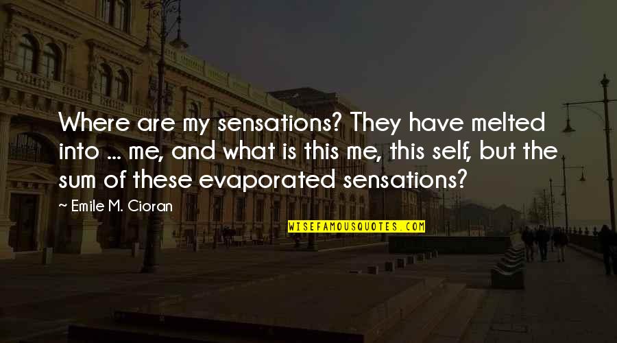Thook Kar Chalna Quotes By Emile M. Cioran: Where are my sensations? They have melted into