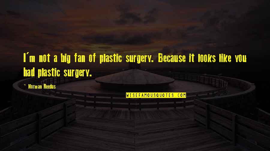 Thora Quotes By Norman Reedus: I'm not a big fan of plastic surgery. Thora Quotes By Norman Reedus: I'm not a big fan of plastic surgery.