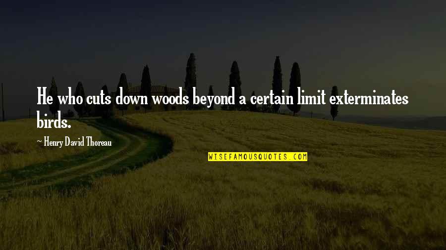 Thoreau Into The Woods Quotes By Henry David Thoreau: He who cuts down woods beyond a certain