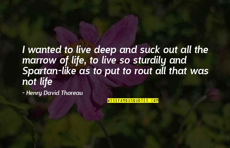 Thoreau Marrow Quotes By Henry David Thoreau: I wanted to live deep and suck out