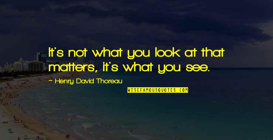 Thoreau's Quotes By Henry David Thoreau: It's not what you look at that matters,