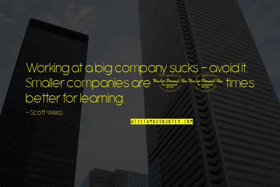 Thorley Industries Quotes By Scott Weiss: Working at a big company sucks - avoid Thorley Industries Quotes By Scott Weiss: Working at a big company sucks - avoid