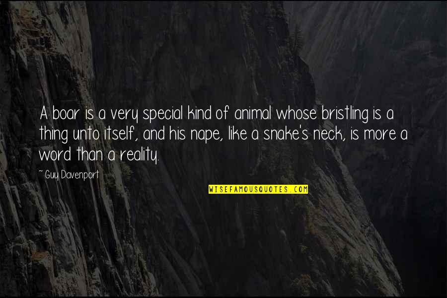 Thorman Style Quotes By Guy Davenport: A boar is a very special kind of Thorman Style Quotes By Guy Davenport: A boar is a very special kind of