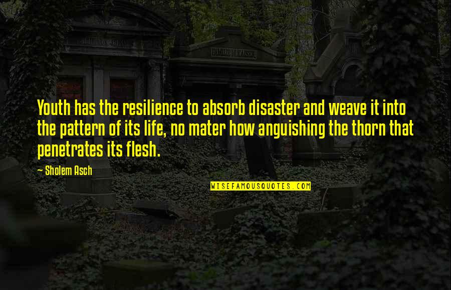 Thorn In Life Quotes By Sholem Asch: Youth has the resilience to absorb disaster and Thorn In Life Quotes By Sholem Asch: Youth has the resilience to absorb disaster and