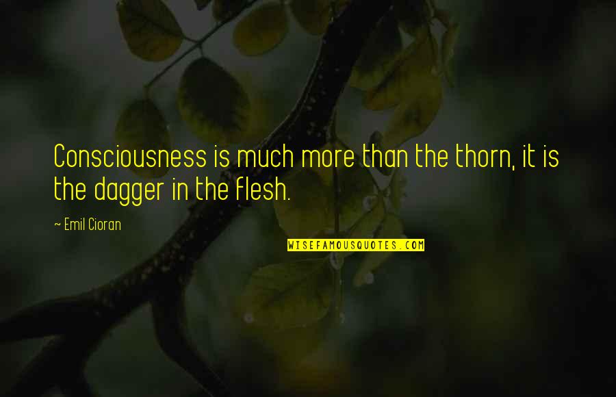 Thorn Quotes By Emil Cioran: Consciousness is much more than the thorn, it