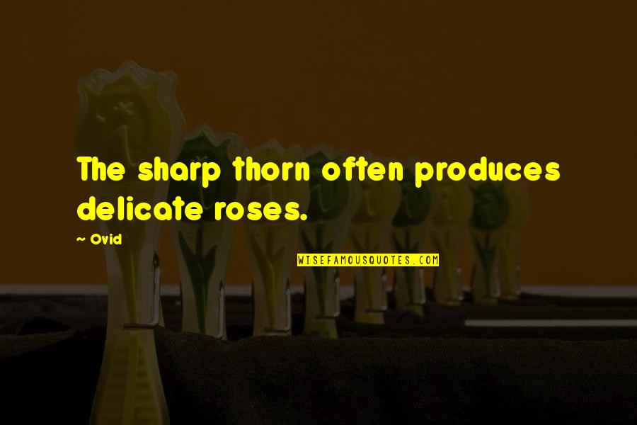 Thorn Quotes By Ovid: The sharp thorn often produces delicate roses.