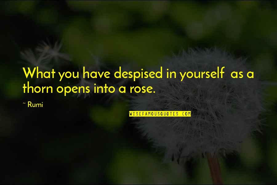 Thorn Quotes By Rumi: What you have despised in yourself as a