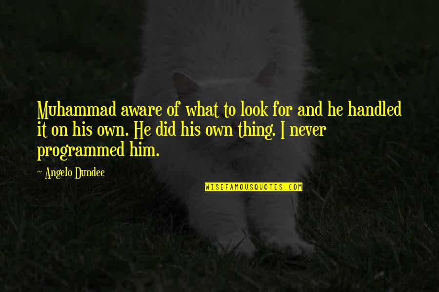 Thorned Greatsword Quotes By Angelo Dundee: Muhammad aware of what to look for and Thorned Greatsword Quotes By Angelo Dundee: Muhammad aware of what to look for and