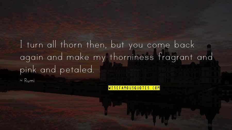 Thorniness Quotes By Rumi: I turn all thorn then, but you come