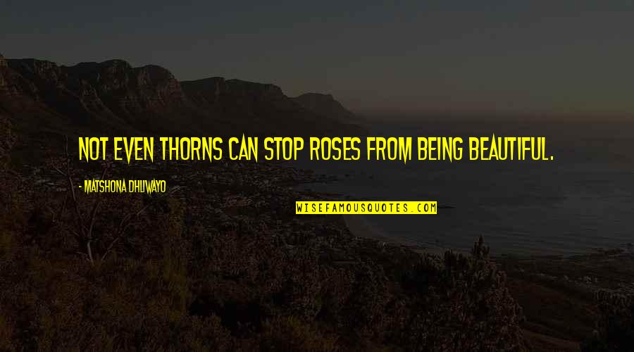 Thorns Roses Quotes By Matshona Dhliwayo: Not even thorns can stop roses from being