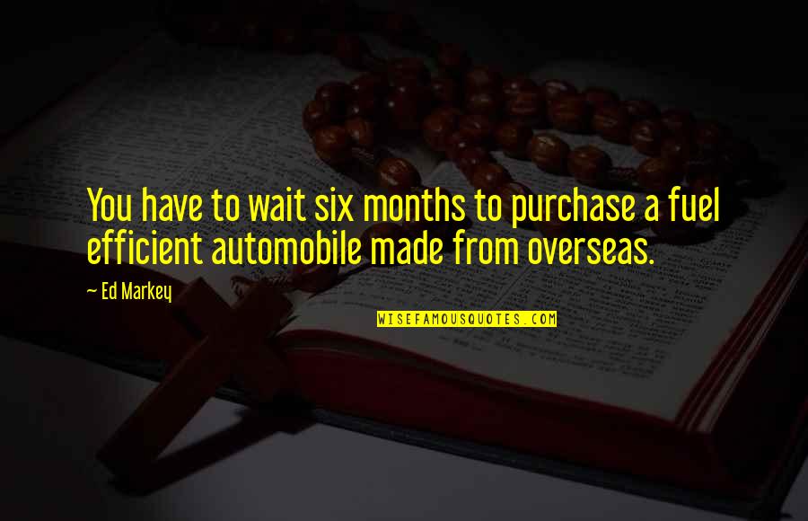 Thorsson Immunity Quotes By Ed Markey: You have to wait six months to purchase
