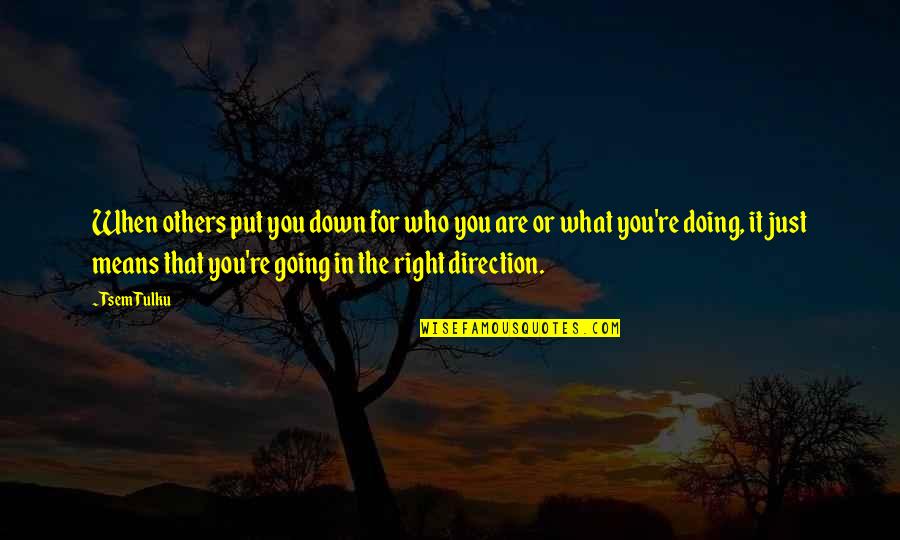 Those Who Put Down Others Quotes By Tsem Tulku: When others put you down for who you