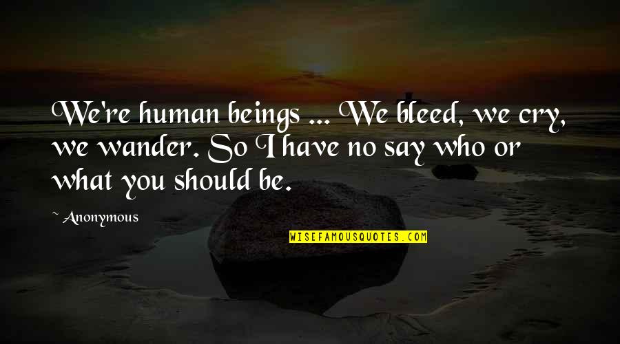 Those Who Wander Quotes By Anonymous: We're human beings ... We bleed, we cry,