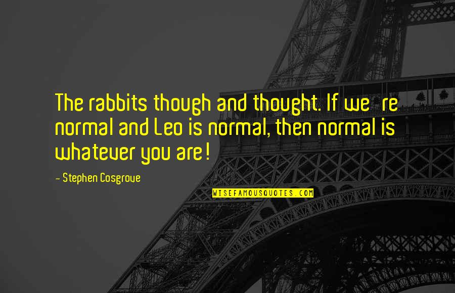 Thought Are Quotes By Stephen Cosgrove: The rabbits though and thought. If we're normal