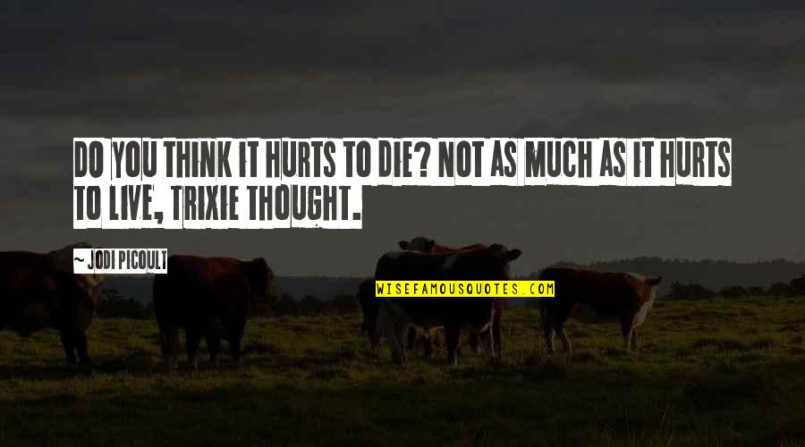Thought Life Quotes By Jodi Picoult: DO you think it hurts to die? Not