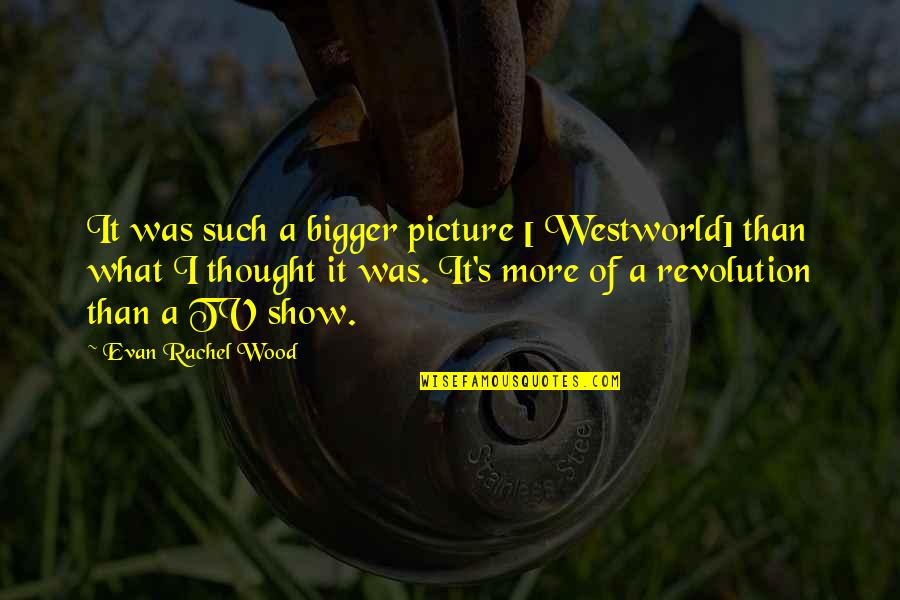 Thought Picture Quotes By Evan Rachel Wood: It was such a bigger picture [ Westworld]