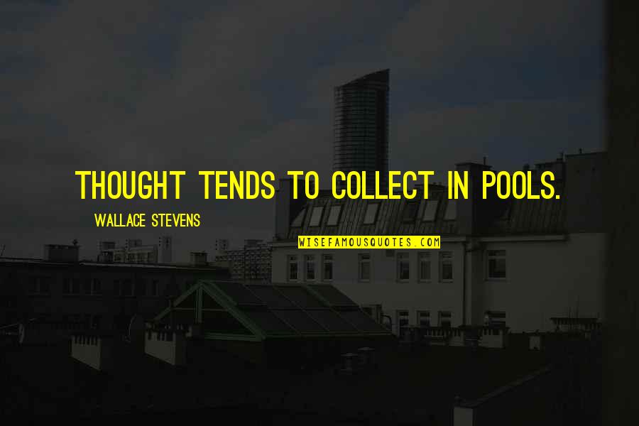 Thought To Quotes By Wallace Stevens: Thought tends to collect in pools.